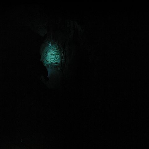 P9023303 P9023303