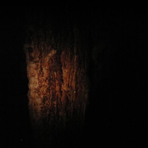 P9023304 P9023304