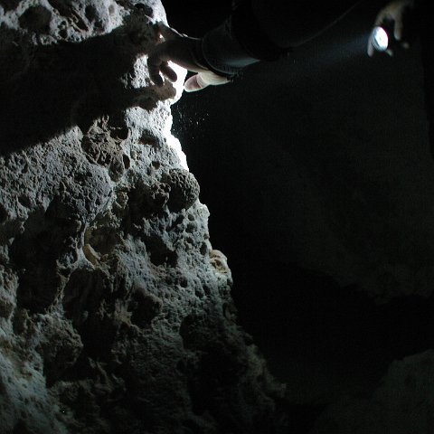 P9023308 P9023308