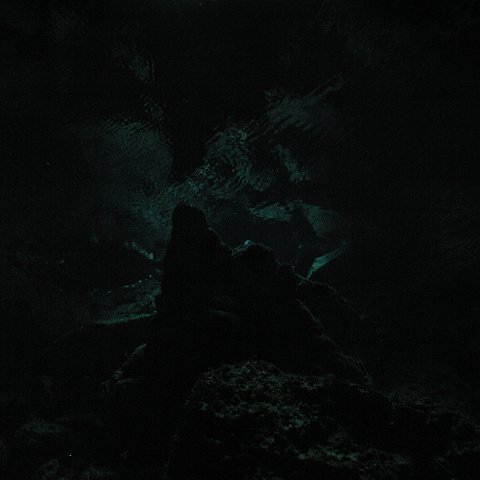 P9023313 P9023313