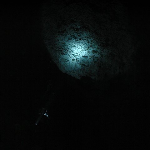 P9023316 P9023316