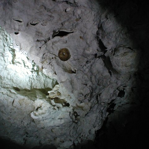 P9023318 P9023318