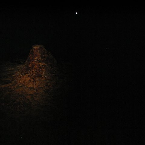 P9023326 P9023326