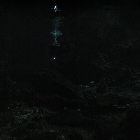 P9023332 P9023332