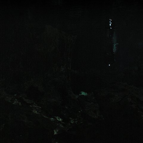 P9023333 P9023333