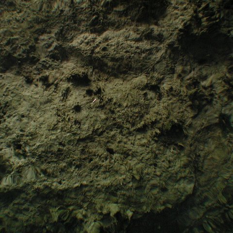 P9023334 P9023334