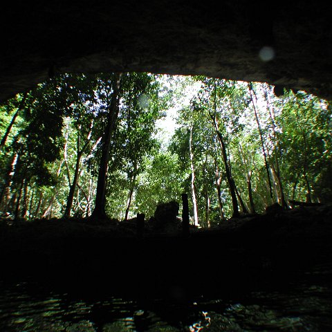 P9023335 P9023335