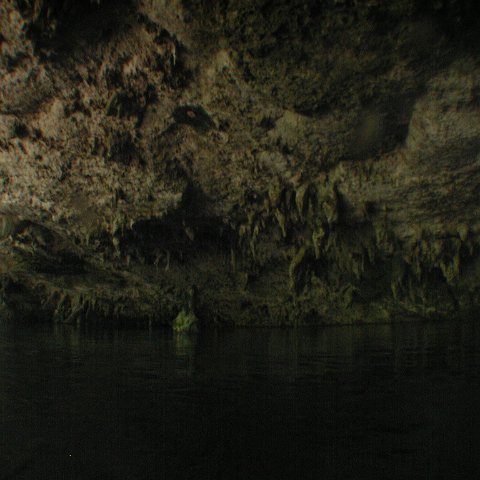 P9023336 P9023336