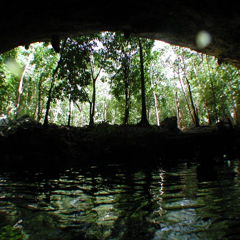 P9023337 P9023337