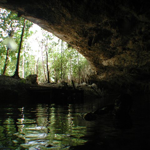 P9023338 P9023338