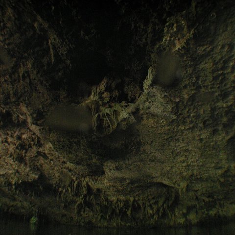 P9023339 P9023339