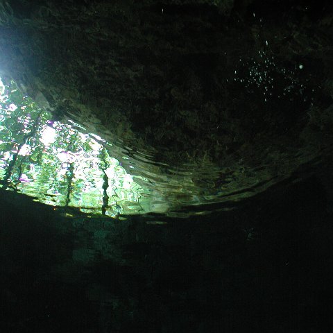 P9023341 P9023341