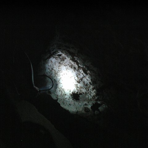 P9023344 P9023344