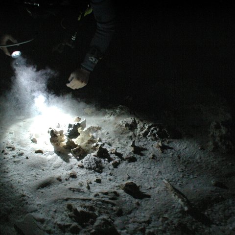 P9023348 P9023348