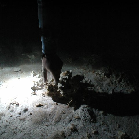 P9023349 P9023349