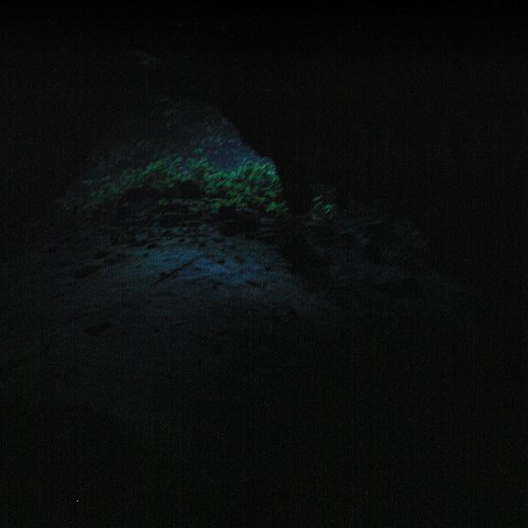 P9023358 P9023358