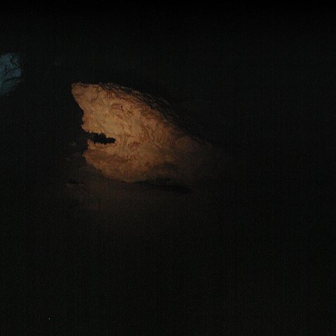 P9023359 P9023359