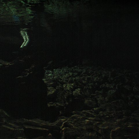 P9023361 P9023361
