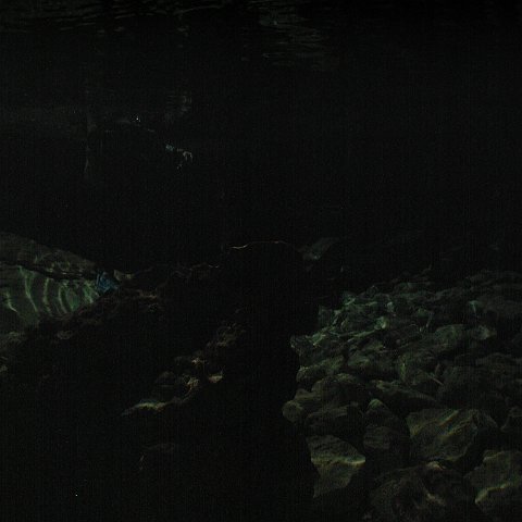 P9023362 P9023362
