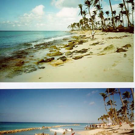 N98-F99 Gran Dominicus N98-F99 Gran Dominicus