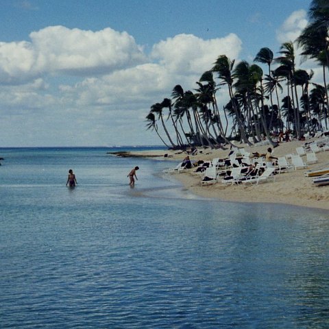 Feb99 center beach Feb99 center beach