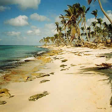 Nov98 Phase2 beach Nov98 Phase2 beach