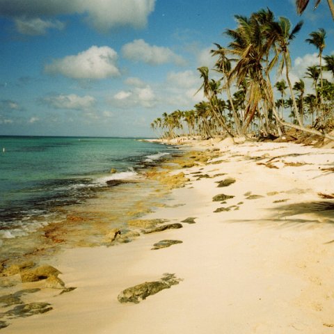 Nov98 Phase2 beach2 Nov98 Phase2 beach2