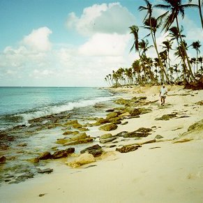 Nov98beach Nov98beach