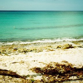 Nov98beach3 Nov98beach3