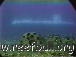 rb_w_sub