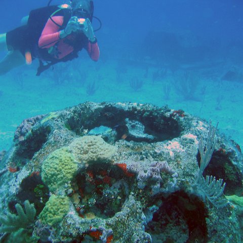 monitoringreefballs