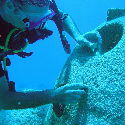 reef baal cozumel 035