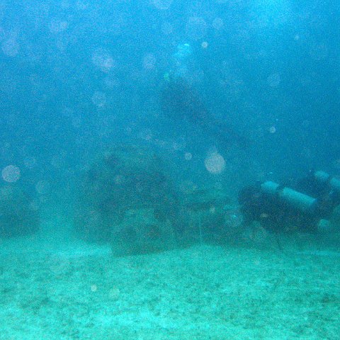 IMG_6213