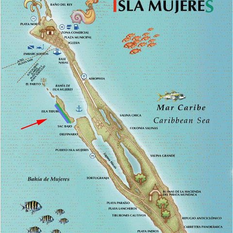 map map