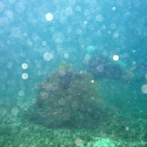IMG_6125 IMG_6125