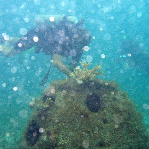 IMG_6133 IMG_6133