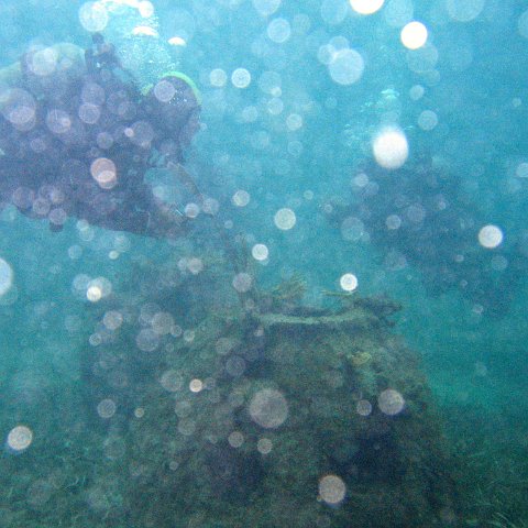 IMG_6139 IMG_6139