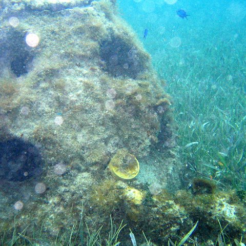 IMG_6144 IMG_6144