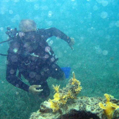 IMG_6156 IMG_6156