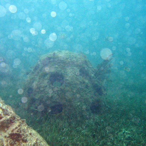 IMG_6159 IMG_6159