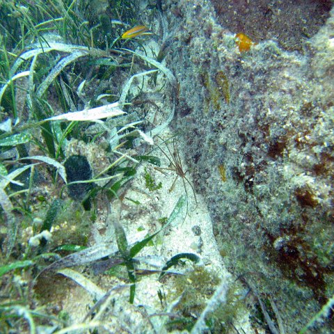 IMG_6168 IMG_6168