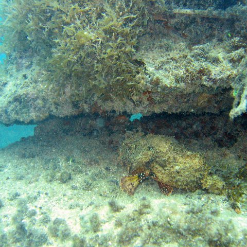 IMG_6192 IMG_6192