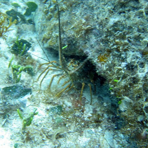 IMG_9434 IMG_9434