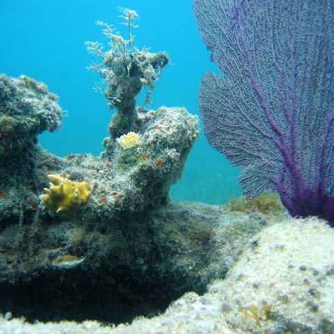 IMG_9439 IMG_9439