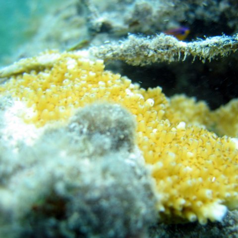 IMG_9454 IMG_9454