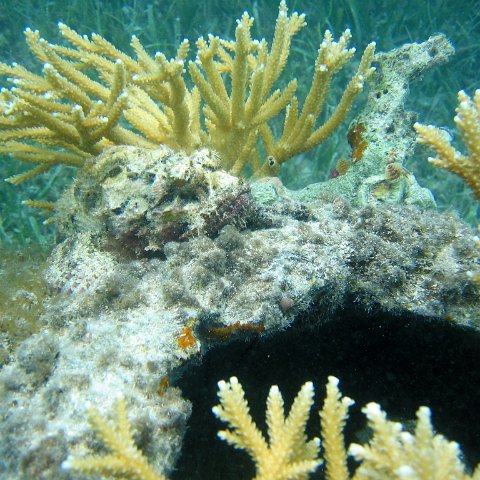 IMG_9457 IMG_9457
