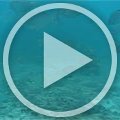 MVI_9413 MVI_9413
