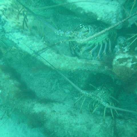 islamujeres islamujeres