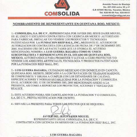 luisrepresentationofcomsolida luisrepresentationofcomsolida