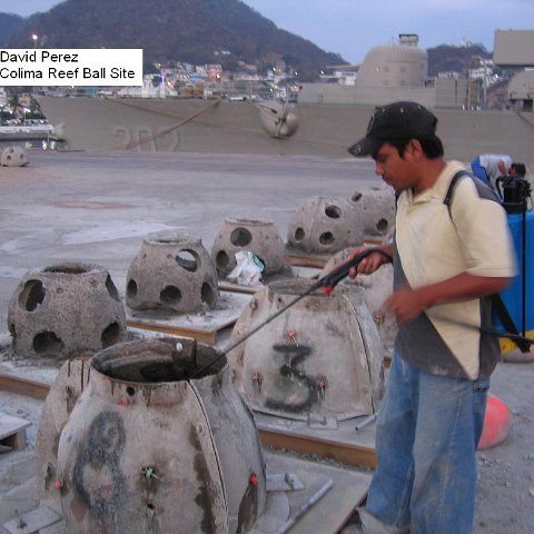 David Perez. Colima site David Perez. Colima site